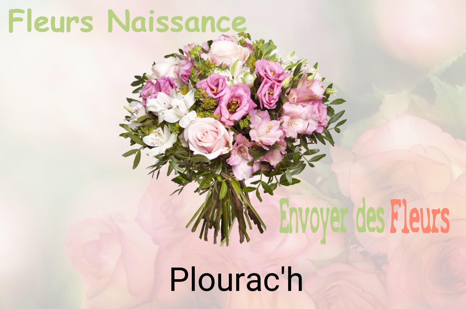 Bouquet de fleurs de naissance livré à Plourac'h